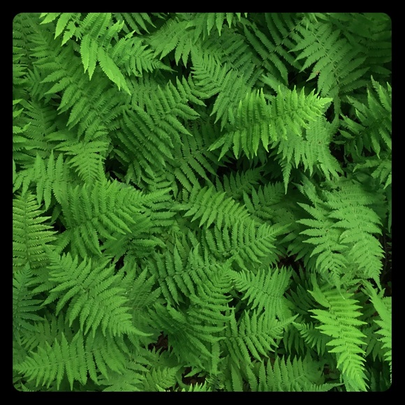 Bookmark my closet 💚 - Picture 3 of 8